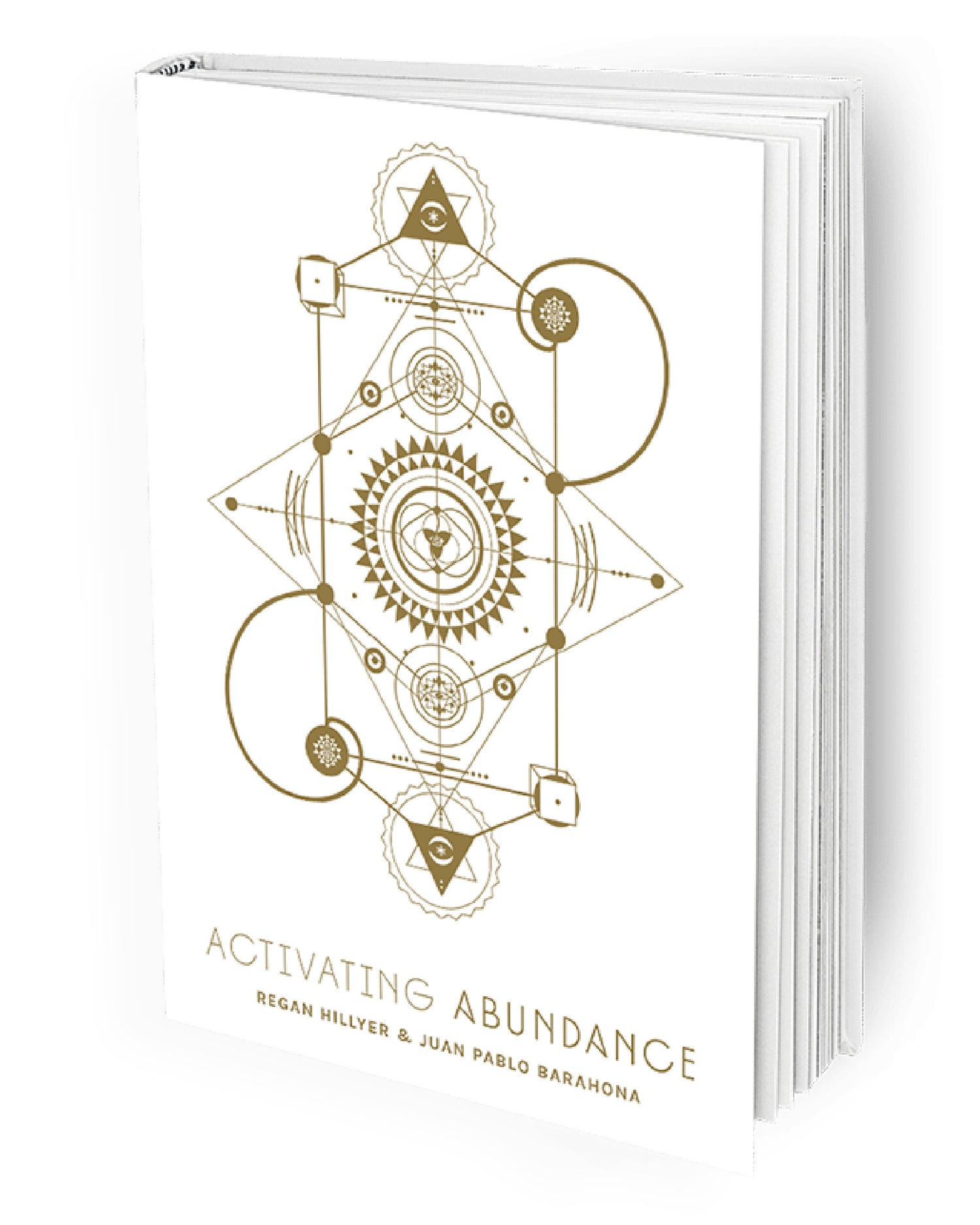 Activating Abundance Book